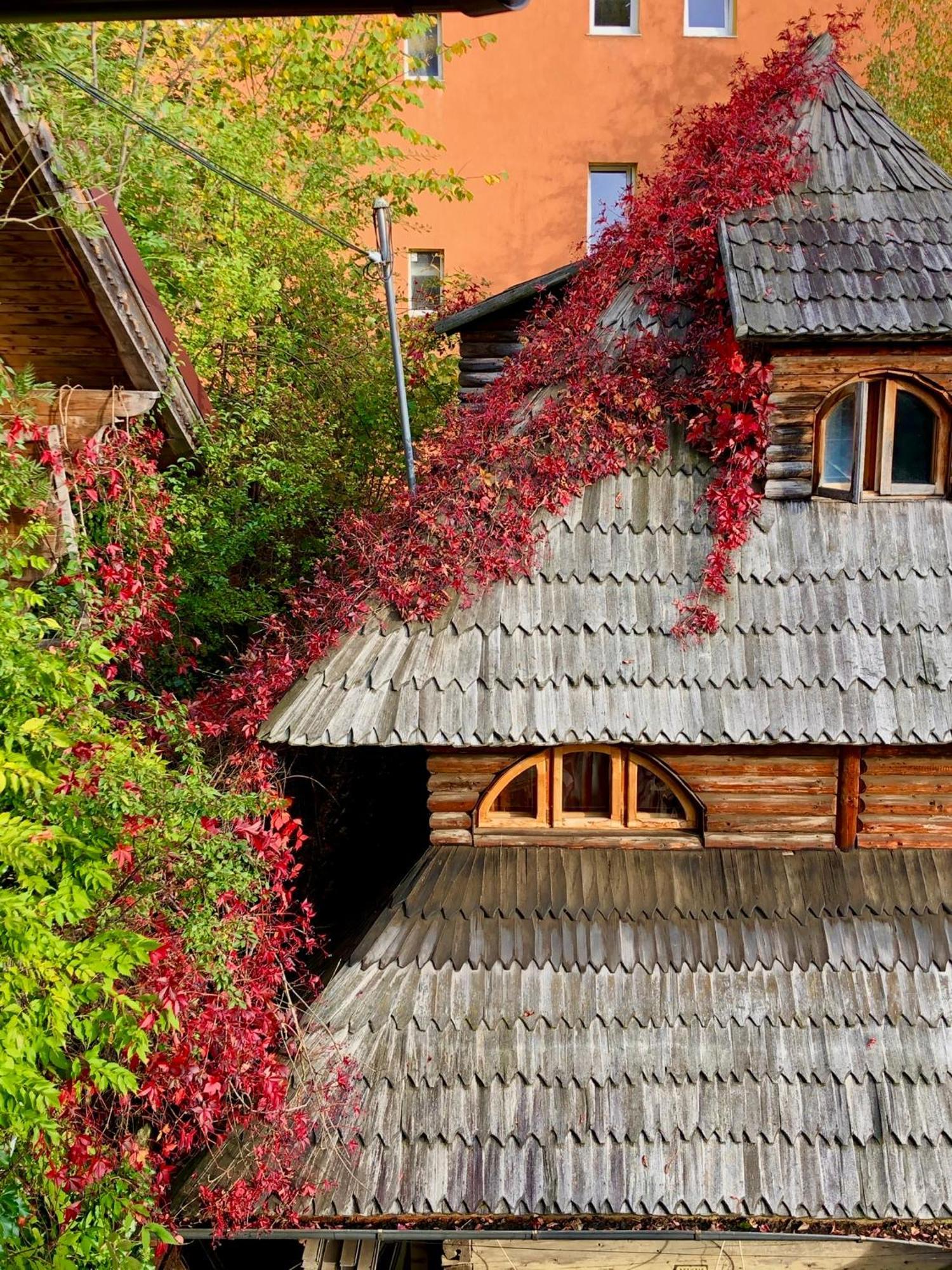Casa Ieud - Catun Villa Sinaia Dış mekan fotoğraf